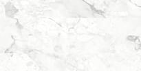 Плитка Ocean Ceramic Porcelain Rock Breccia Bianco 60x120 см, поверхность матовый