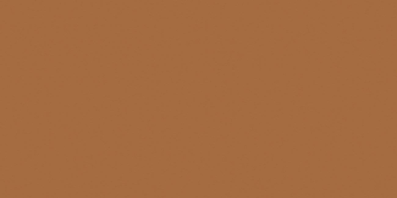 Ocean Ceramic Slim Exotic Light Brown 60x120 Ocean Ceramic Slim Exotic Light Brown 60x120