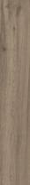 Плитка Ocean Ceramic Wood Eternity Natural 20x120 см, поверхность матовый