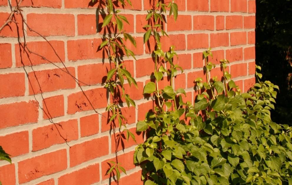 клинкер фабрики Olfry коллекция Brick