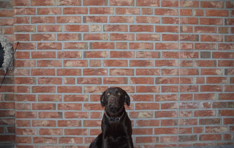 клинкер фабрики Olfry коллекция Brick