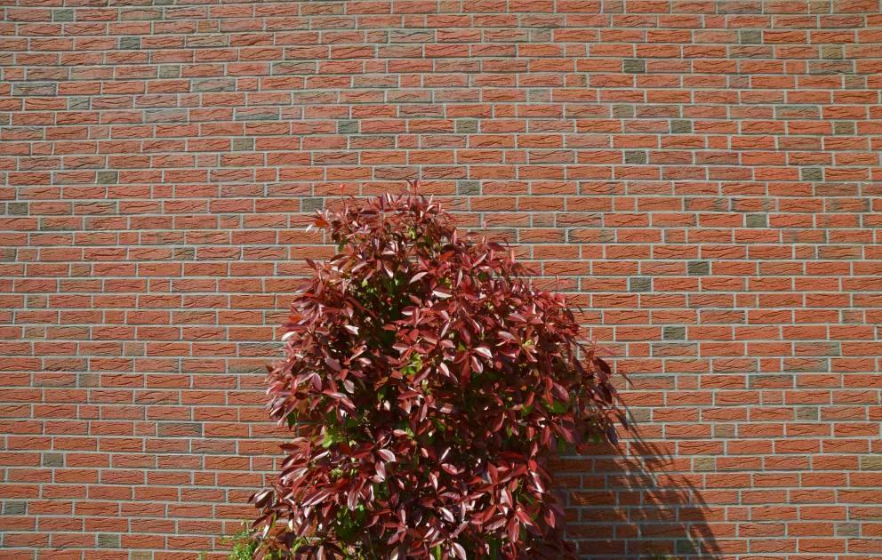 клинкер фабрики Olfry коллекция Brick