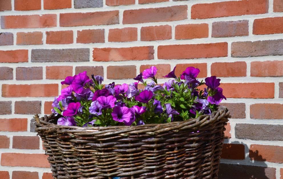 клинкер фабрики Olfry коллекция Clinker Strips