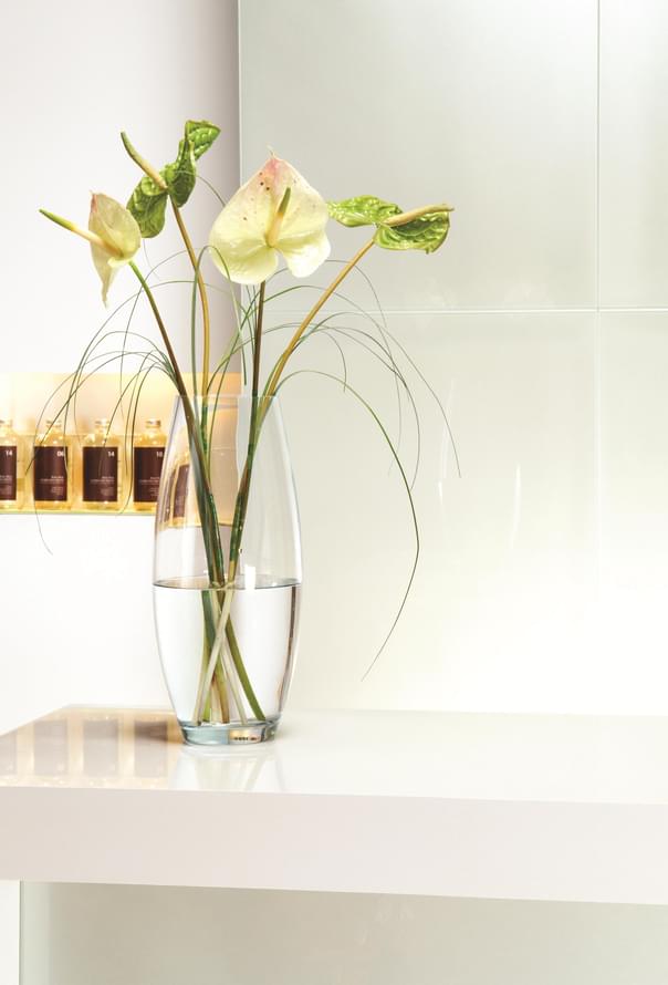 стекло фабрики Original Style коллекция Splashbacks