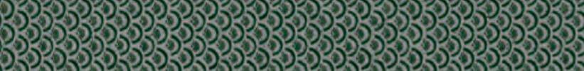 Ornamenta Maiolicata Fish Green 15x120