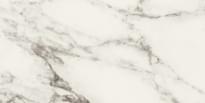Плитка Panaria Eternity Arabesque Pearl Lux Rect 30x60 см, поверхность полированная