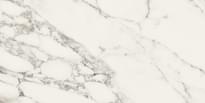 Плитка Panaria Eternity Arabesque Pearl Lux Rect 60x120 см, поверхность полированная