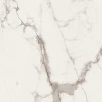 Плитка Panaria Eternity Statuario White Lux Rect 60x60 см, поверхность полированная