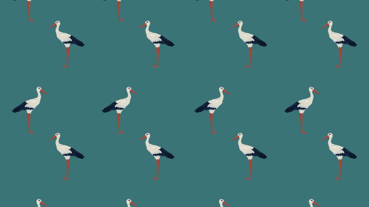 Papier Peint Aist Seaside 0м x 106см поверхность матовая