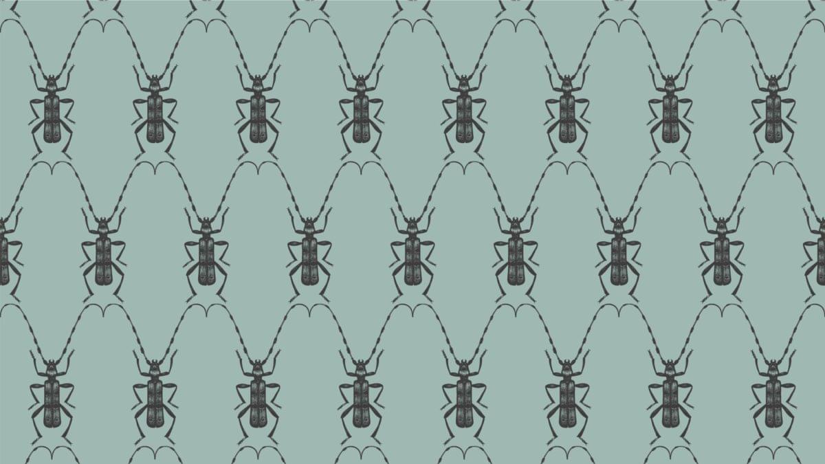 Papier Peint Microworld Beetles 0м x 106см поверхность матовая