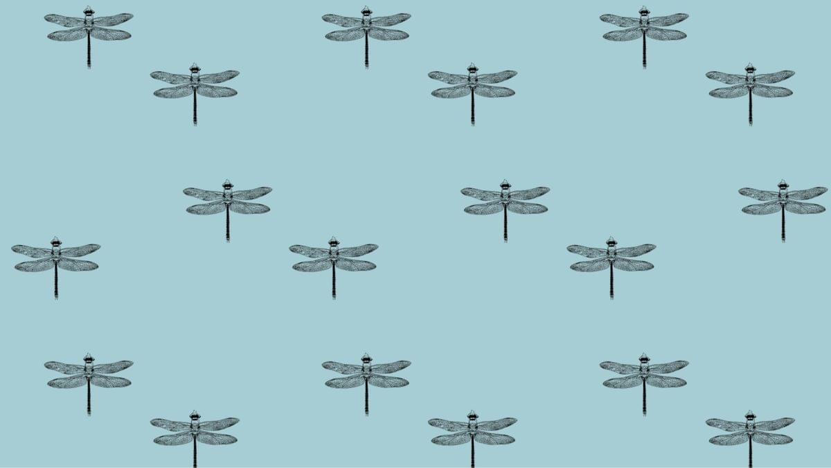 Papier Peint Microworld Blue Dragonfly 0м x 106см поверхность матовая