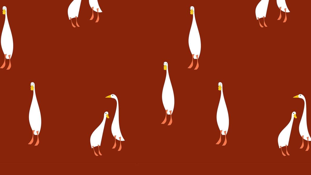 Papier Peint Zoo Logic Гусь Ли 0м x 106см поверхность матовая