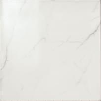 Плитка Pastorelli Elite Carrara Nat 60x60 см, поверхность матовая