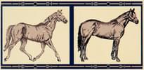 Плитка Petracers Grand Elegance Horses Su Crema 10x20 см, поверхность глянец