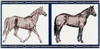 Плитка Petracers Grand Elegance Horses Su Panna 10x20 см, поверхность глянец