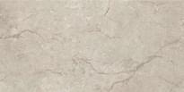 Плитка Piemme Ceramiche Stone Concept Argento Nat-Ret 30x60 см, поверхность матовая
