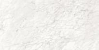 Плитка Piemme Valentino Majestic Apuanian White Nat-Ret 60x119.5 см, поверхность матовая