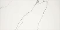Плитка Piemme Valentino Majestic Queen S Tiara Lev-Ret 60x120 см, поверхность полированная