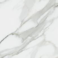 Плитка Piemme Valentino Marmi-Reali Calacatta Lev-Ret 60x60 см, поверхность полированная