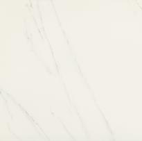Плитка Piemme Valentino Marmi-Reali Carrara Lev-Ret 60x60 см, поверхность полированная