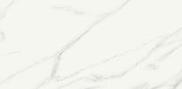 Плитка Piemme Valentino Marmi-Reali Carrara Ret 30x60 см, поверхность матовая