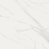 Плитка Piemme Valentino Marmi-Reali Carrara Ret 60x60 см, поверхность матовая