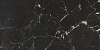Плитка Piemme Valentino Marmi-Reali Nero Reale Lev-Ret 30x60 см, поверхность полированная