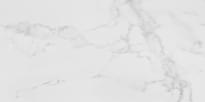 Плитка Porcelanosa Carrara Blanco Natural 59.6x120 см, поверхность матовая