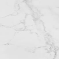 Плитка Porcelanosa Carrara Blanco Natural 59.6x59.6 см, поверхность матовая