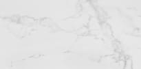 Плитка Porcelanosa Carrara Blanco Pulido 58.6x118.7 см, поверхность полированная