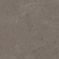 Плитка Porcelanosa Karachi Acero 120x120 см, поверхность матовая