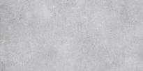 Плитка Primavera Matt Nemo Light Grey 60x120 см, поверхность матовая