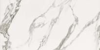 Плитка Prissmacer Carrara White 60x120 см, поверхность полированная
