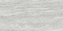 Плитка ProConcept Lugano Decor Silver Matt 60x120 см, поверхность матовая