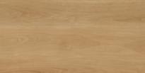 Плитка Protiles Porcelain Albero Beige 60x120 см, поверхность матовая