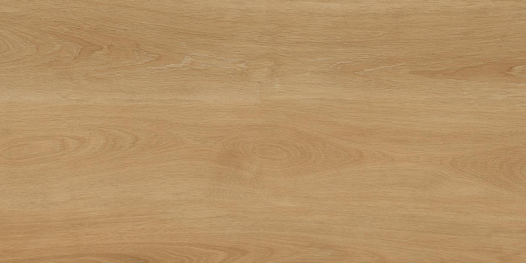 Protiles Porcelain Albero Beige 60x120