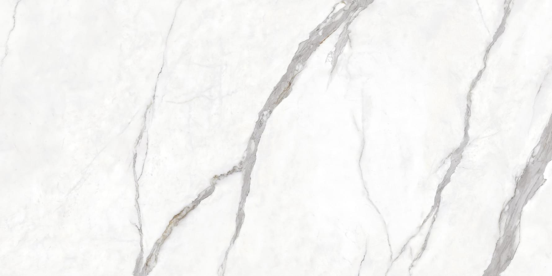 Protiles Porcelain Calacatta 60x120