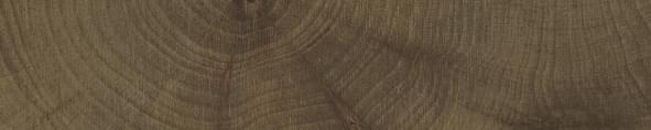 Provenza W-Circles Brick Wenge 5x30 см, поверхность матовая