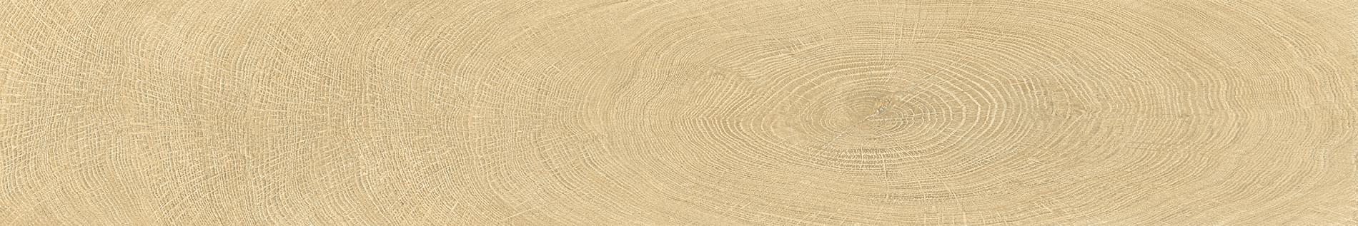 Provenza W-Circles Oak 20x120 см, поверхность матовая