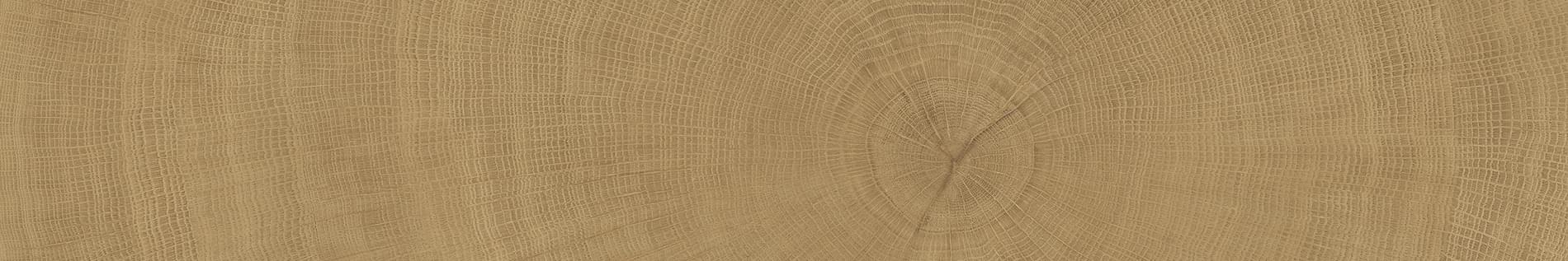 Provenza W-Circles Walnut 20x120 см, поверхность матовая
