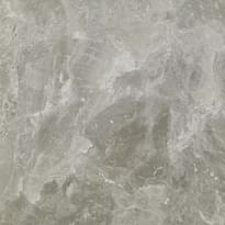 Плитка Ragno Bistrot Crux Taupe Glossy Rett 58x58 см, поверхность полированная