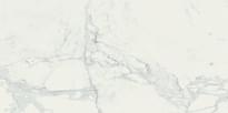 Плитка Ragno Imperiale Bianco Glossy Rect 58x116 см, поверхность полированная