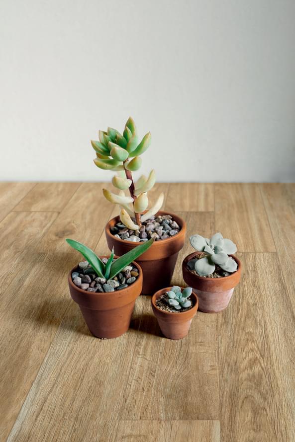 керамогранит фабрики Ragno коллекция Woodglam