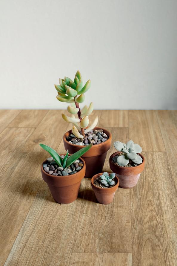 керамогранит фабрики Ragno коллекция Woodglam