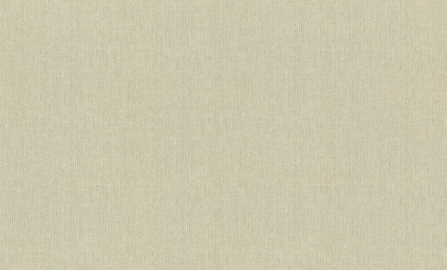 Rasch Alghero 943122 10м x 106см поверхность