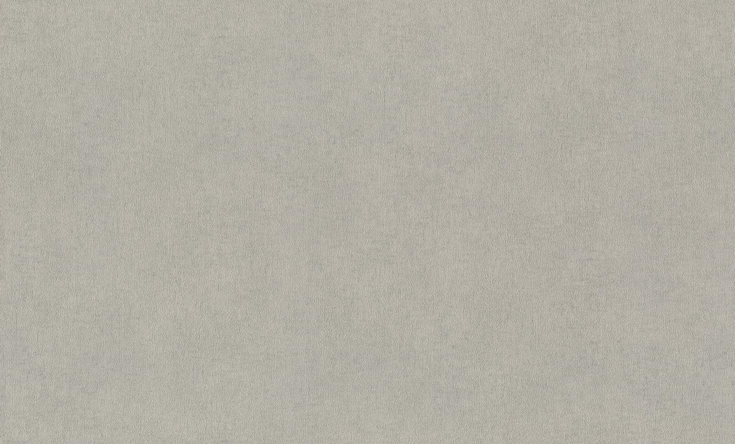Rasch Alghero 943368 10м x 106см поверхность