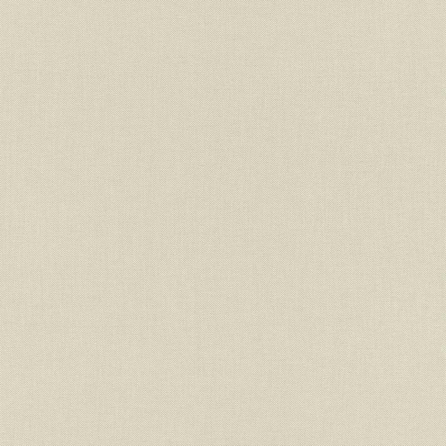 Rasch Allegretto 423914 флизелин  поверхность матовая