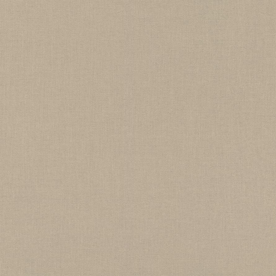 Rasch Allegretto 423921 флизелин  поверхность матовая