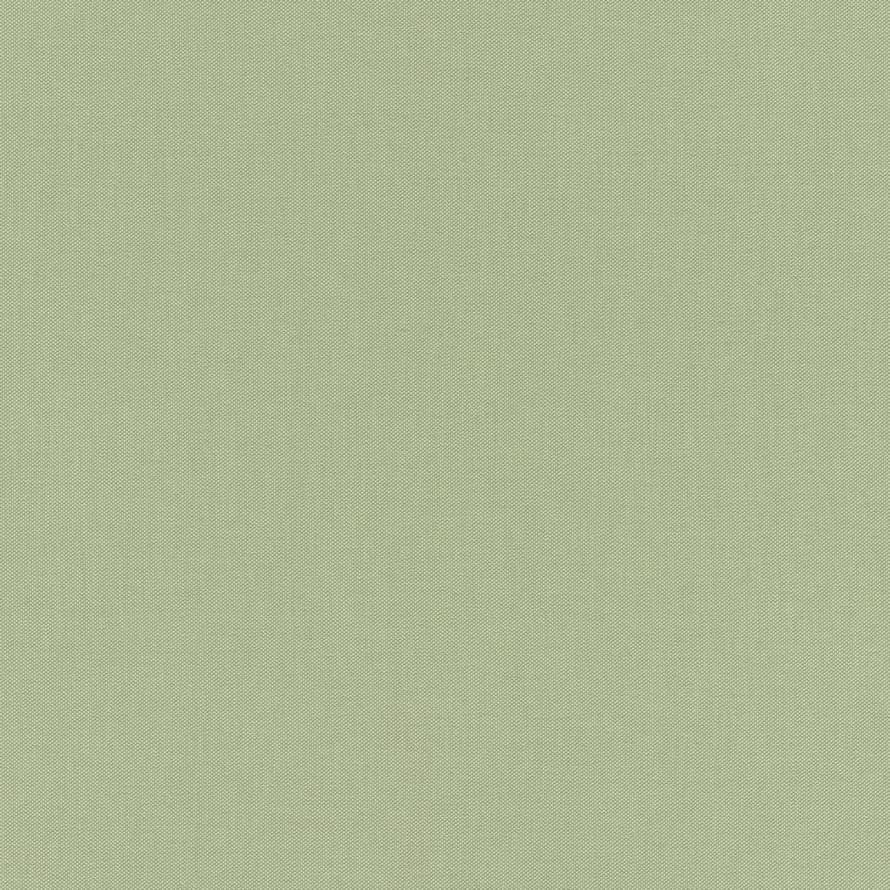 Rasch Allegretto 423938 флизелин  поверхность матовая