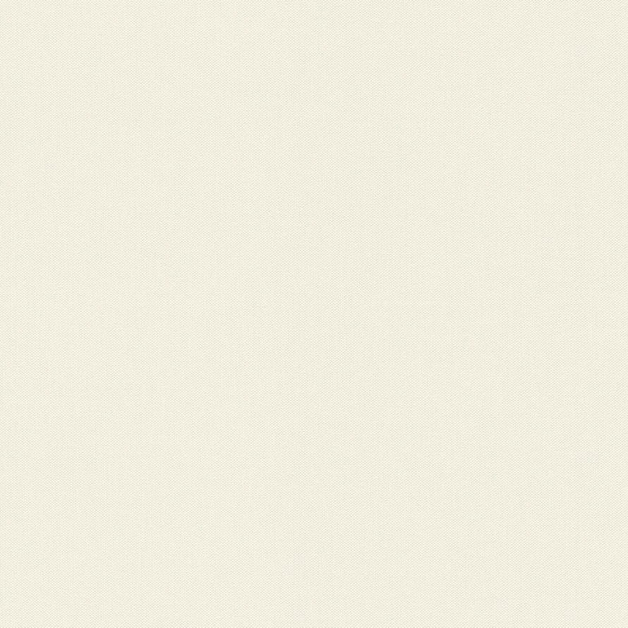 Rasch Allegretto 424010 флизелин  поверхность матовая